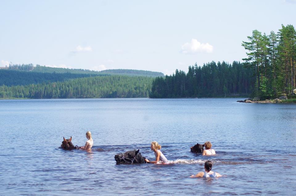Sun Dance Ranch Bed & Breakfast Ekshärad Екстериор снимка
