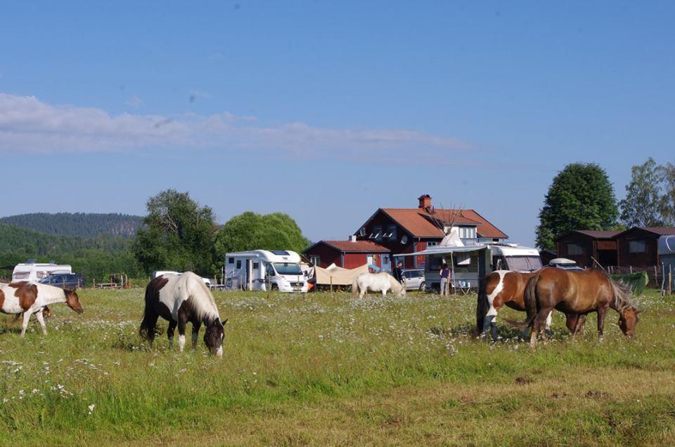 Sun Dance Ranch Bed & Breakfast Ekshärad Екстериор снимка
