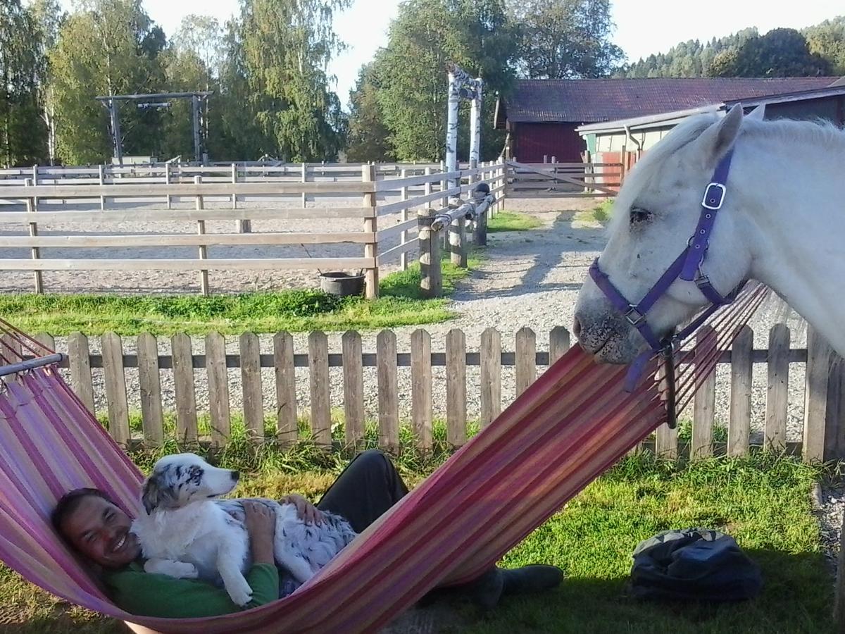 Sun Dance Ranch Bed & Breakfast Ekshärad Екстериор снимка
