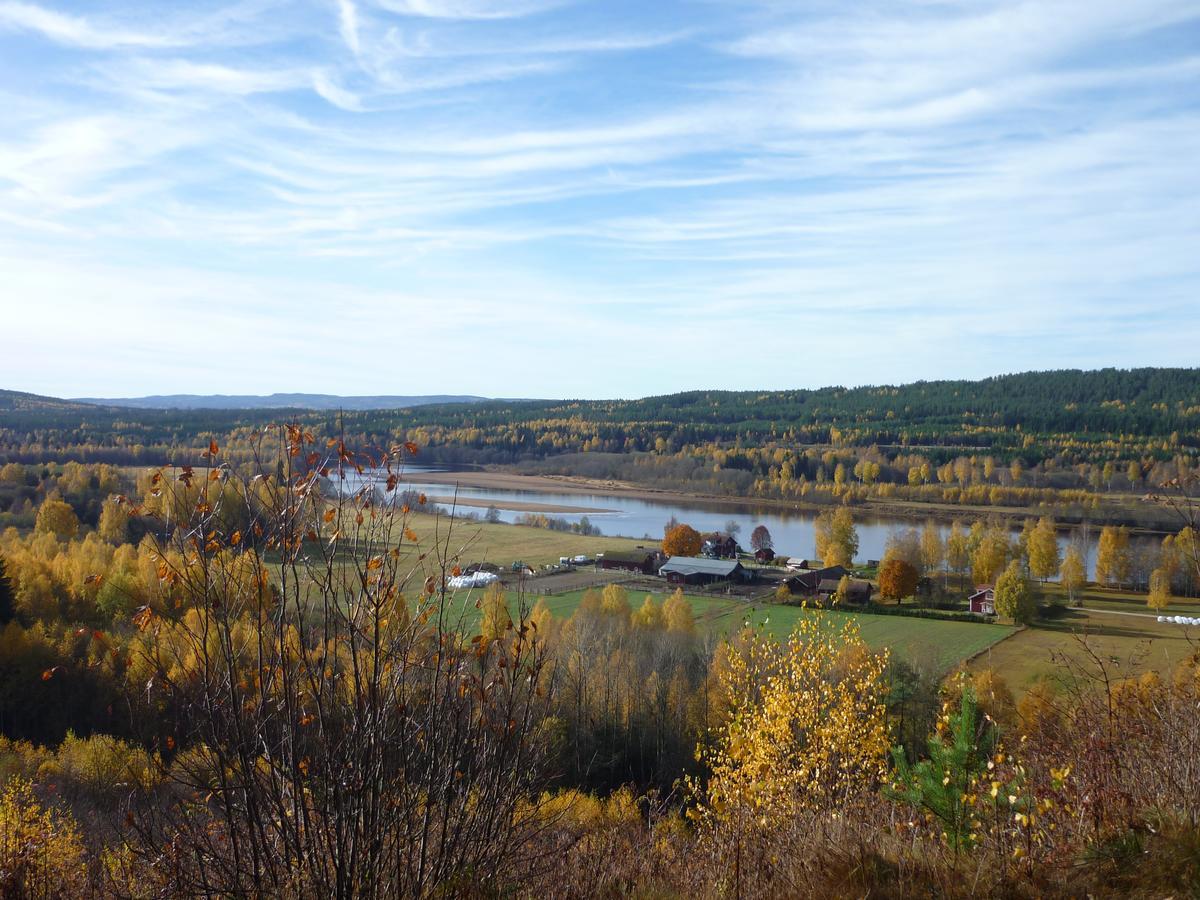 Sun Dance Ranch Bed & Breakfast Ekshärad Екстериор снимка